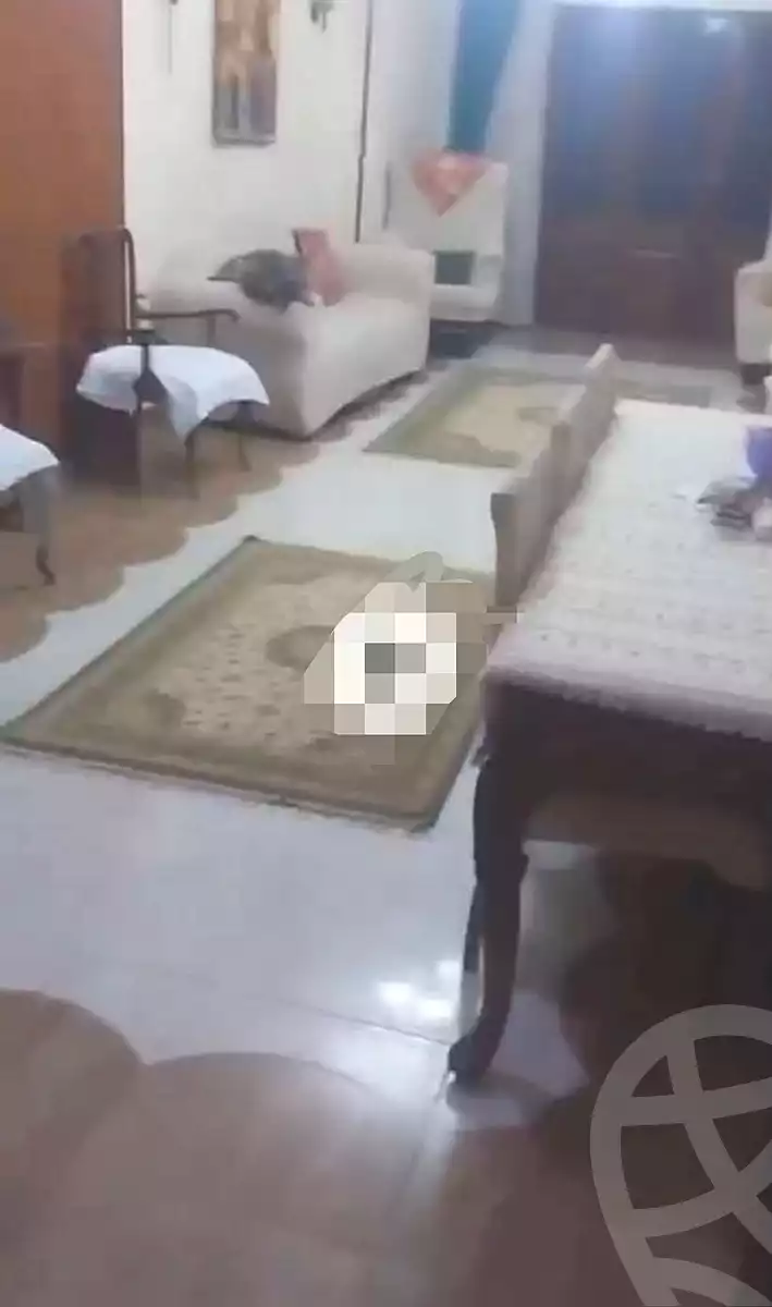 https://aqarmap.com.eg/ar/listing/7339441-for-sale-cairo-el-haram-el-talbya-el-sanadeely-st