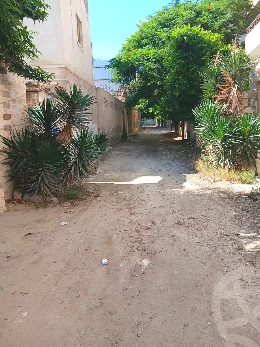 https://aqarmap.com.eg/en/listing/7341564-for-rent-alexandria-al-agamy-lbytsh-el-hanafeya-st