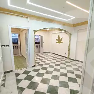https://aqarmap.com.eg/en/listing/7342617-for-sale-alexandria-lsywf-el-falki