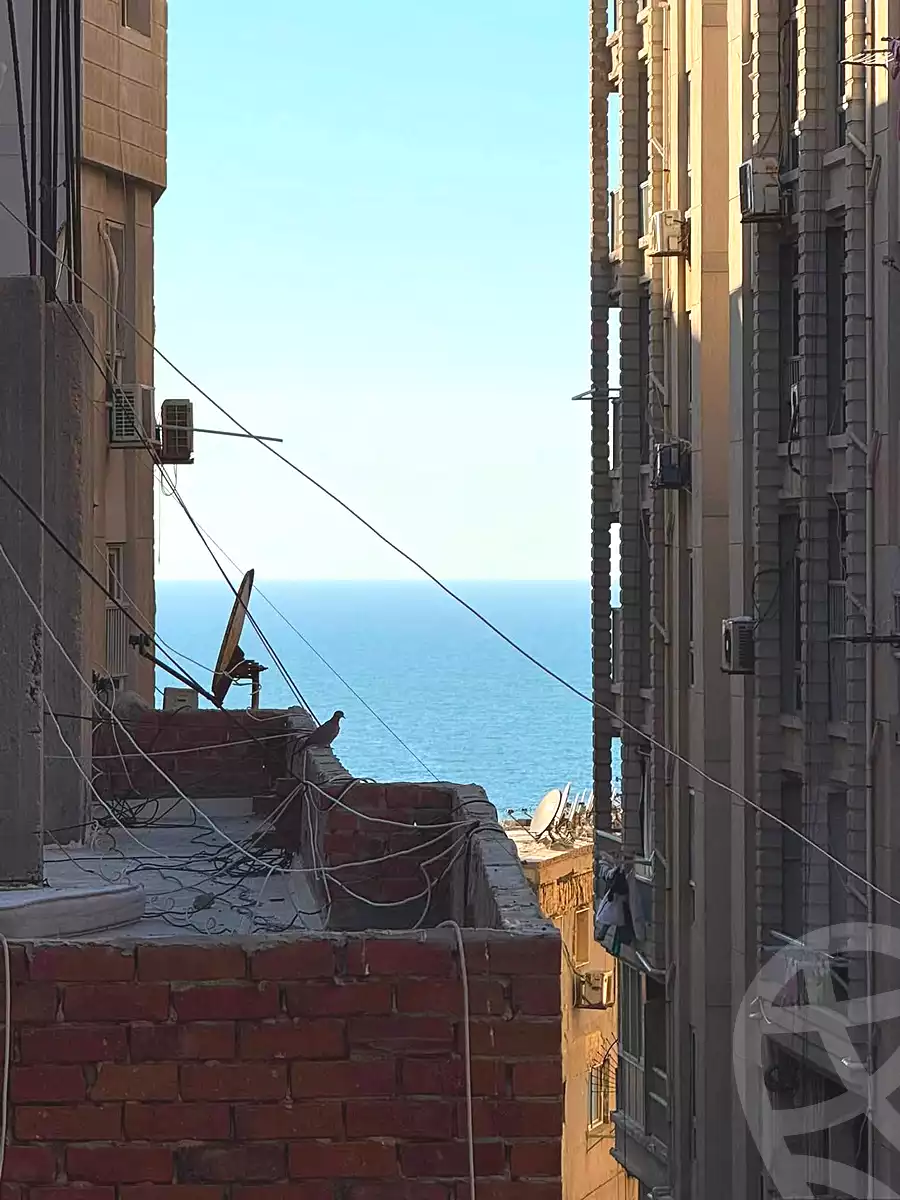https://aqarmap.com.eg/en/listing/7344170-for-sale-alexandria-el-mandara-alex-el-mandara-bahri-sidi-kamal-st