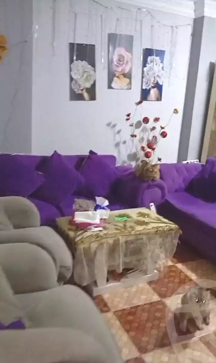 https://aqarmap.com.eg/en/listing/7348452-for-sale-alexandria-lsywf-el-falki