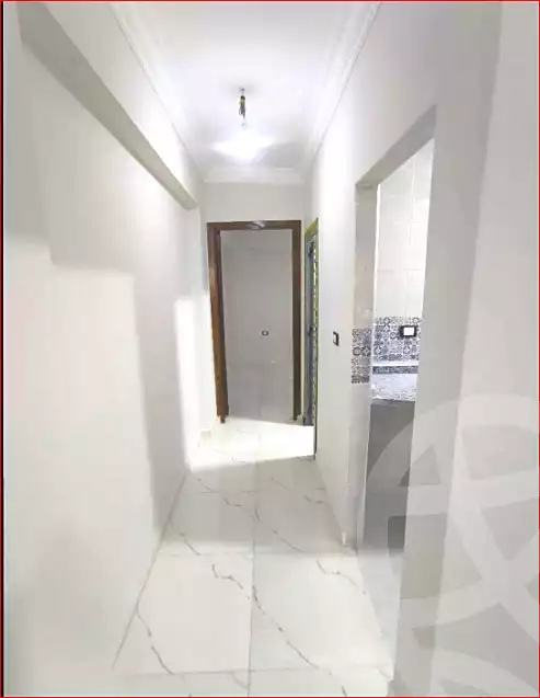 https://aqarmap.com.eg/ar/listing/7348653-for-sale-alexandria-lsywf-el-falki-street-16-el-eslah