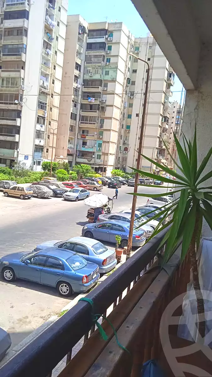 https://aqarmap.com.eg/en/listing/7351074-for-sale-alexandria-smouha-taawenyat-smouha