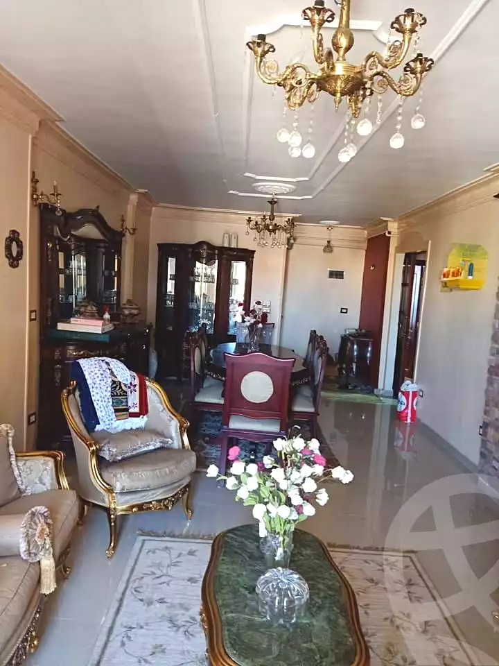 https://aqarmap.com.eg/ar/listing/7354468-for-sale-alexandria-smouha-green-plaza-st