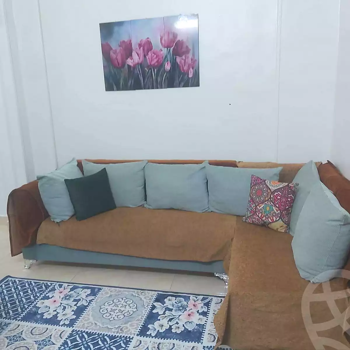 https://aqarmap.com.eg/en/listing/7356282-for-rent-aswan-aswan-city-el-akkad-city-second-settlement