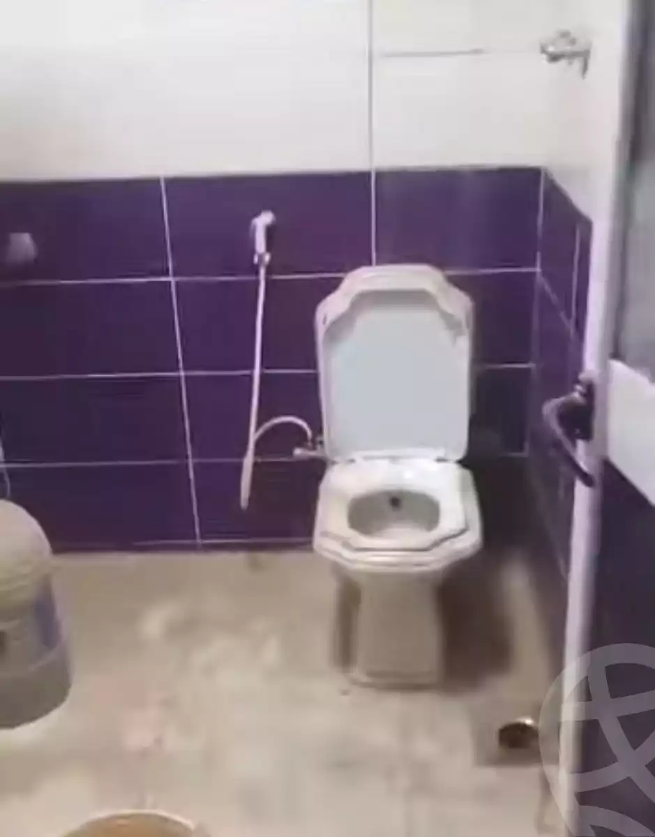 https://aqarmap.com.eg/ar/listing/7357636-for-sale-cairo-ain-shams-jsr-lswys-el-arbaeen-st