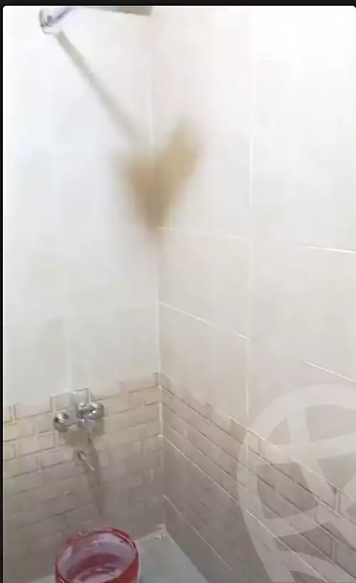 https://aqarmap.com.eg/en/listing/7358290-for-sale-cairo-nozha-2-sanad-abd-el-hakeem-st