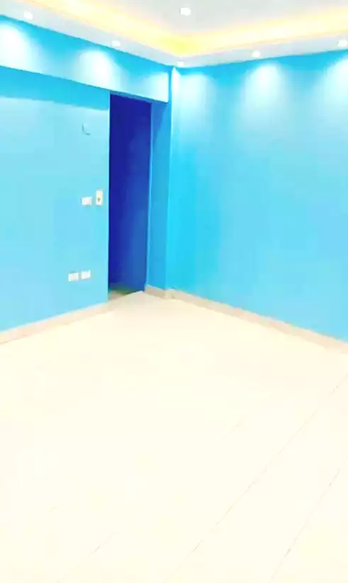https://aqarmap.com.eg/en/listing/7358794-for-sale-cairo-faisal-hassan-mohamed-st