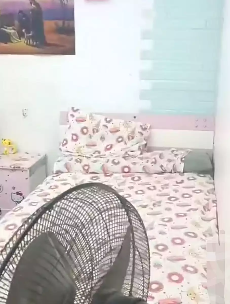 https://aqarmap.com.eg/en/listing/7358865-for-sale-cairo-ain-shams-ain-shams-el-sharkia-eshak-st