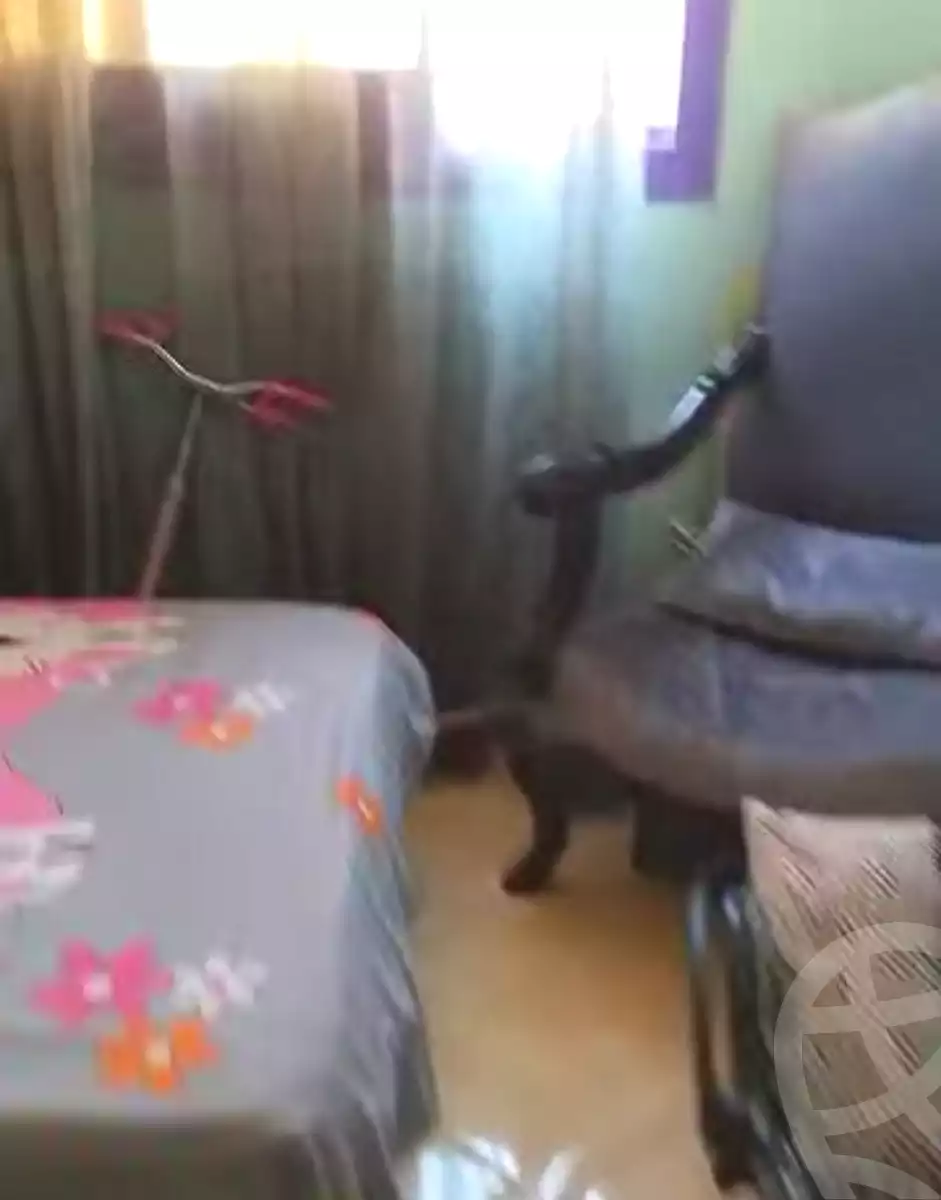 https://aqarmap.com.eg/en/listing/7359281-for-sale-cairo-ain-shams-mnshy-lthryr