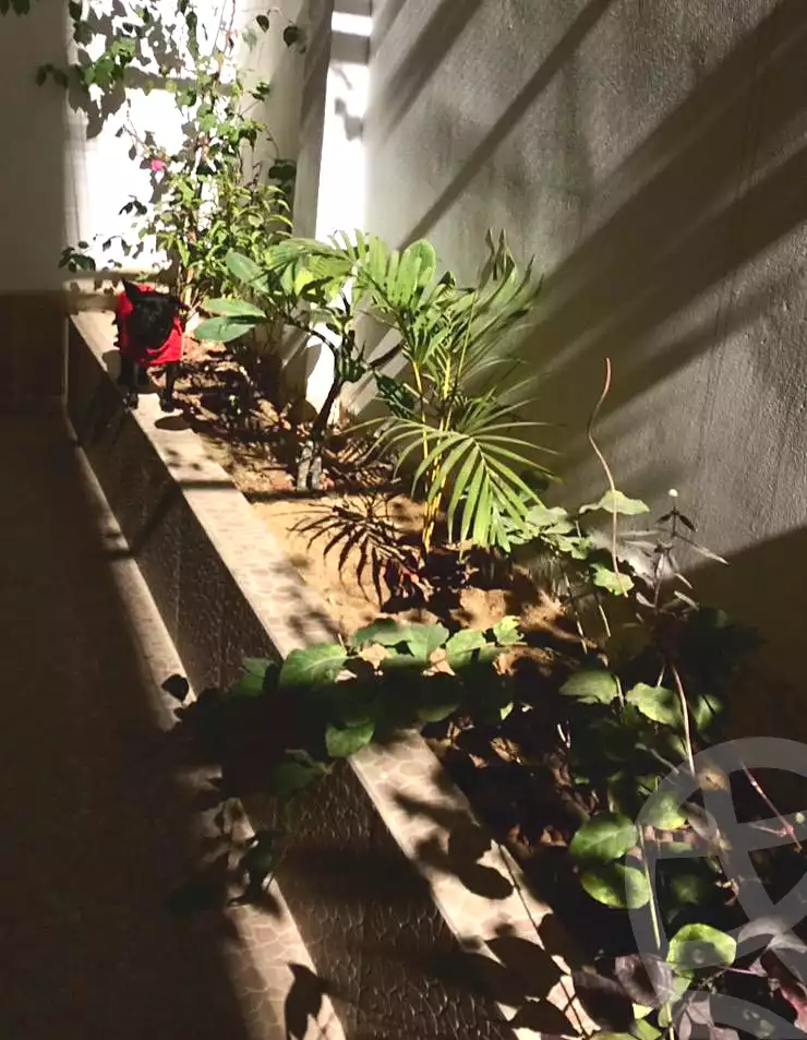 https://aqarmap.com.eg/en/listing/7359588-for-sale-cairo-6th-of-october-hadaeq-october-compounds-address-home-compound-arkan