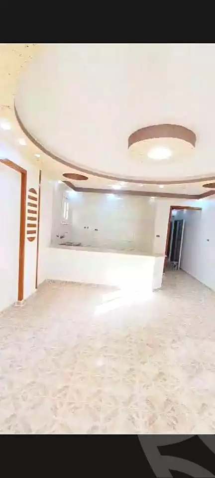 https://aqarmap.com.eg/en/listing/7361817-for-rent-alexandria-al-agamy-el-kilo-21