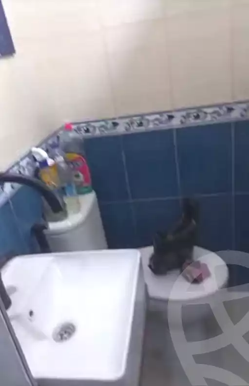 https://aqarmap.com.eg/ar/listing/7362050-for-sale-cairo-el-haram-shareaa-khatem-el-morsalen