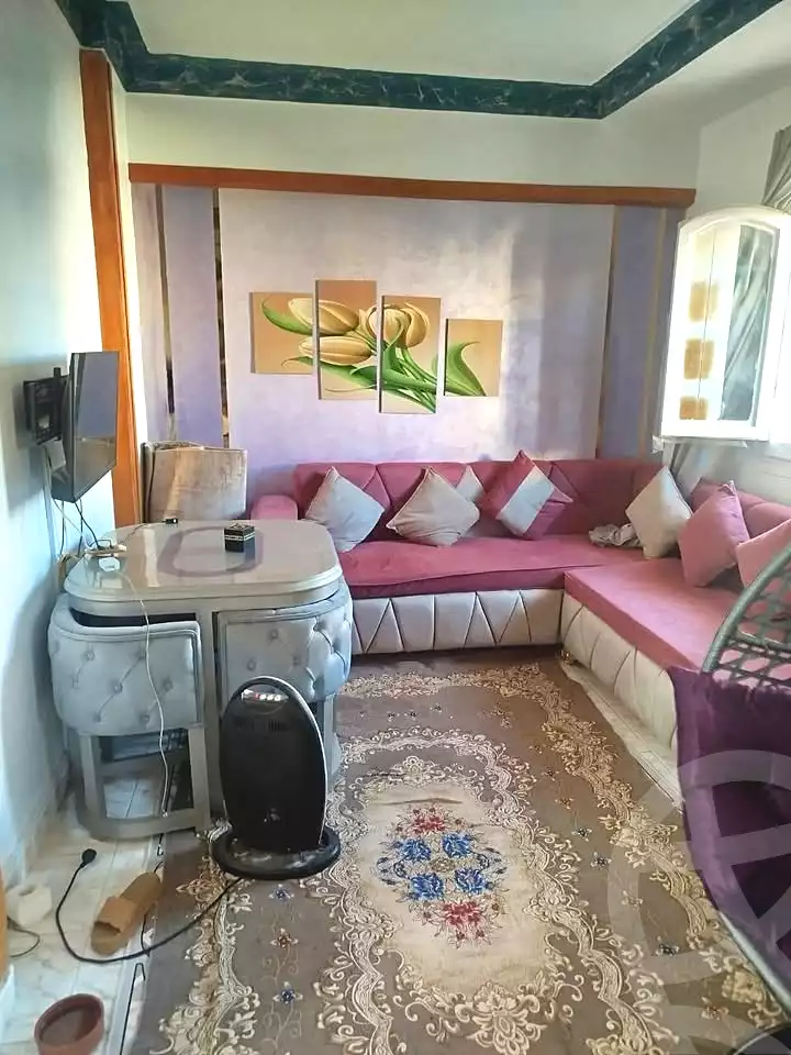 https://aqarmap.com.eg/en/listing/7362507-for-rent-alexandria-al-agamy-shataa-el-nakheel