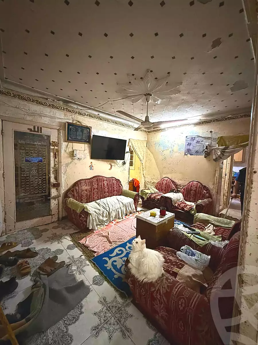 https://aqarmap.com.eg/ar/listing/7362955-for-sale-alexandria-fyktwry-shr-jml-bd-lnsr