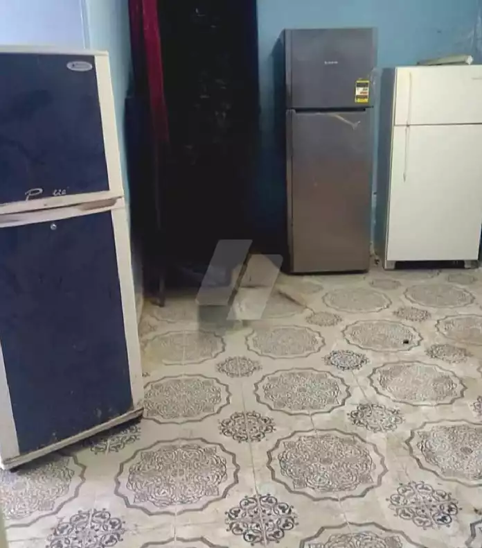 https://aqarmap.com.eg/ar/listing/7367746-for-sale-alexandria-el-asafra-l-sfr-bhry-el-geish-rd