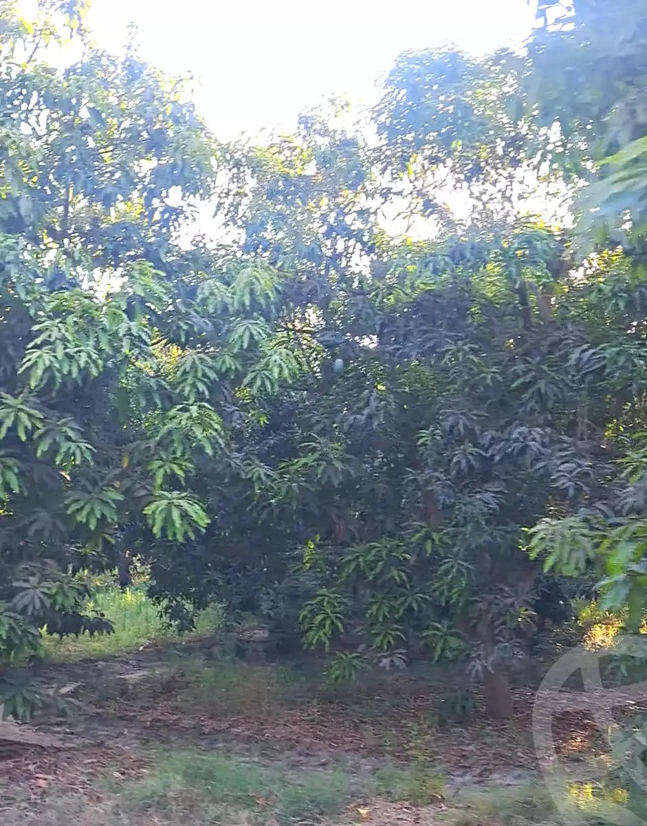 https://aqarmap.com.eg/ar/listing/7374810-for-sale-cairo-al-oubour-el-manateq-el-snaaya-industrial-b-g