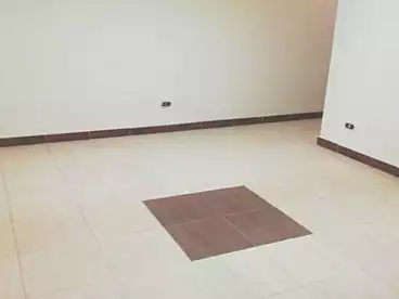 Apartments For rent in Mohye El Din Abo El Ezz St., Dokki, 230 sqm