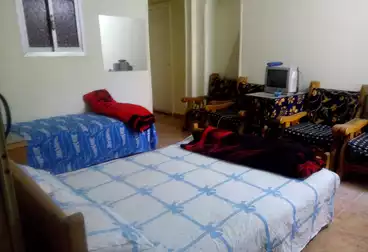 شقق مفروشة للإيجار - 2 غرف - بالدور 1