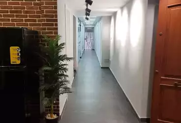 Apartments For rent - 11 rooms - floor 2