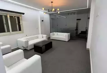 Properties For rent - 12 rooms - floor 3