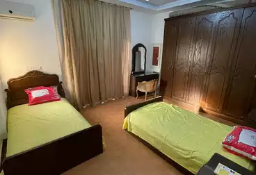 Furnished Apartment For rent in Ibrahim Abo El Naga St.