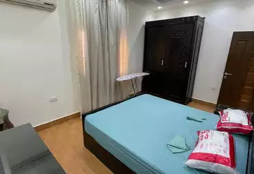 Furnished Apartment For rent in Ibrahim Abo El Naga St.