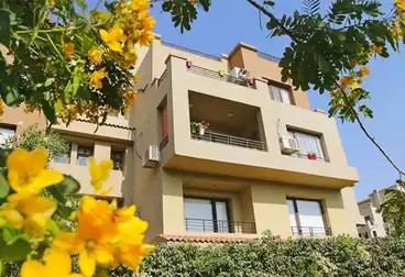 Apartments For rent - 2 rooms - floor 2