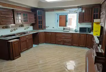 Apartments For rent in Samir Shehata Street