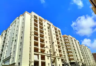 Apartments For sale in Valore Smouha Compound