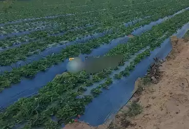 لاصحاب الاستثمار مزرعة للتمليك 15 فدان في البحيرة الارض مسجلة بالشهر العقارى