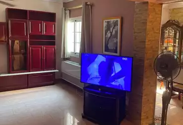 Apartment for rent in Zamalek