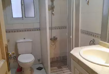 Apartment for rent in Zamalek