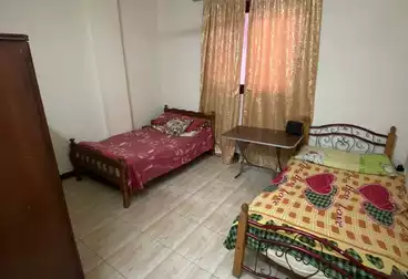 Furnished Apartment For rent in Hassanein Desoky St.