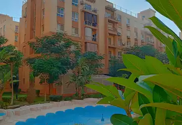 Apartments For sale in Degla Gardens Compound - Memaar Al Morshedy