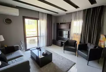 Furnished apartment for rent, first residence in Eastown Sodic Compound