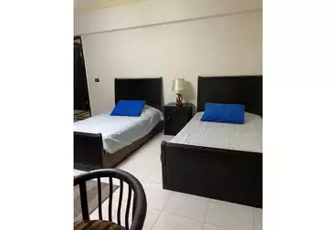 S Apartment for sale in Dokki finished with ACS and furniture ready to move