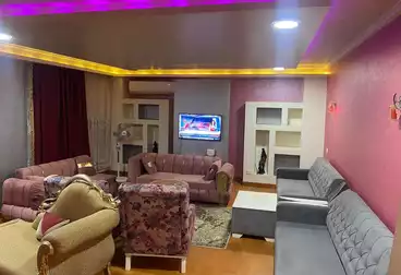 Furnished Apartment For rent in Malls and Markets