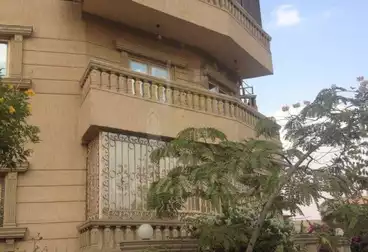 https://aqarmap.com.eg/en/listing/4972487-for-sale-cairo-new-cairo-el-ahyaa-first-neighborhood-street-1