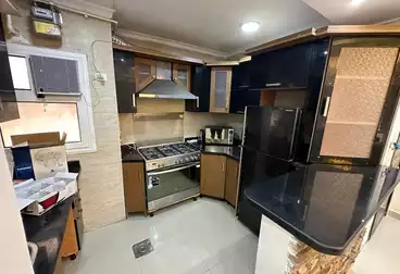 Furnished Apartment For rent in Group 113