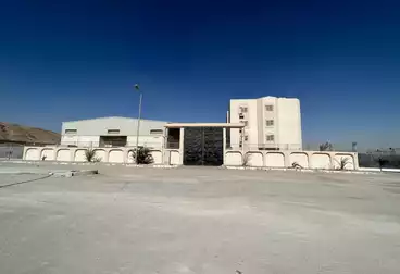 Plastic Bags Factory For sale in New Asyut City