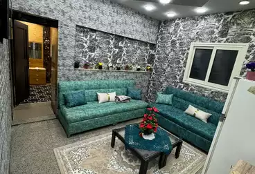 https://aqarmap.com.eg/ar/listing/4996333-for-rent-cairo-manial-mohamed-zulfiqar-st