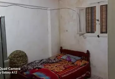 شقق للبيع - 2 غرف - بالدور 1