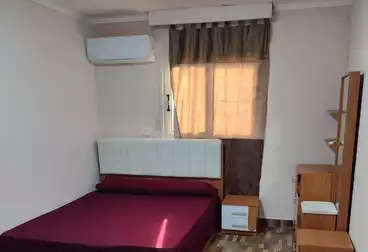 Furnished Apartment For rent in El Senosi St.للايجار اليومي 1500ج