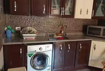 Furnished Apartment For rent in Akoya Compound