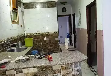 https://aqarmap.com.eg/ar/listing/5009534-for-sale-alexandria-l-jmy-lbytsh-el-reyad-st