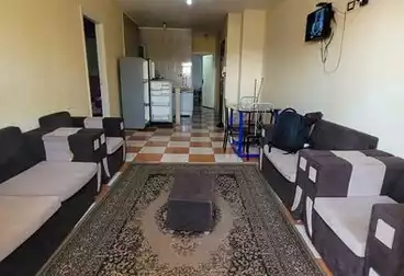 https://aqarmap.com.eg/ar/listing/5025755-for-rent-marsa-matruh-marsa-matrouh-city-alam-el-roum-st