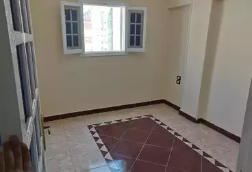 https://aqarmap.com.eg/ar/listing/5027432-for-sale-alexandria-lsywf-el-falki