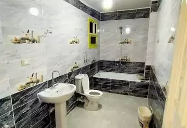 https://aqarmap.com.eg/en/listing/5047555-for-sale-cairo-ain-shams-mnshy-lthryr