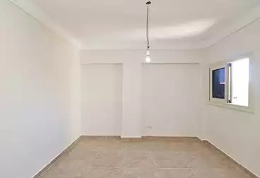 Apartment for sale - Smouha - Area 175 meters